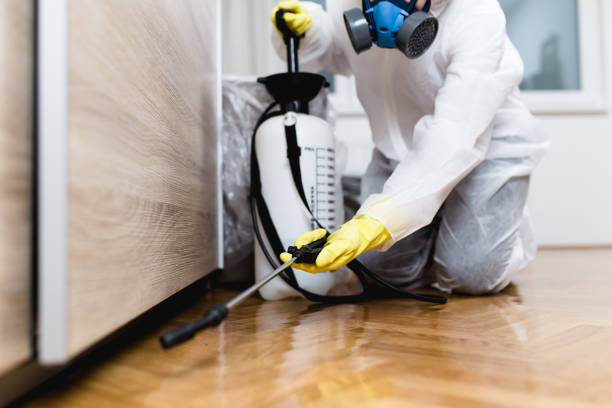 Best Emergency Pest Control  in Shelby, MS