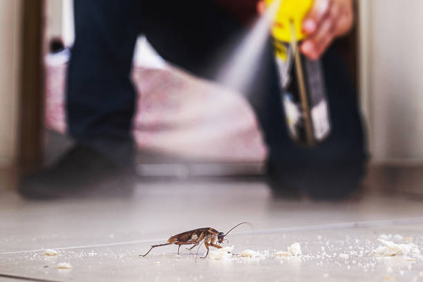 Best Pest Control Near Me in Shelby, MS